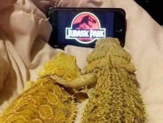 HotNewBreak Laughs: Today’s Funny Photos For 5-21-2019