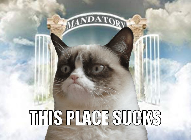 HotNewBreak Monday Memes: RIP Grumpy Cat