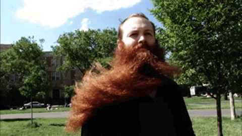 The Windy Stranger