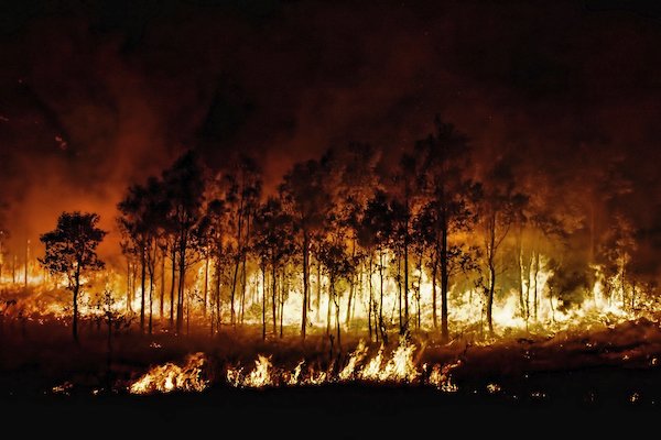 Instagram Model Raises $1M In Nudes For Australian Wildfire Relief (What Are You Willing to Do?)