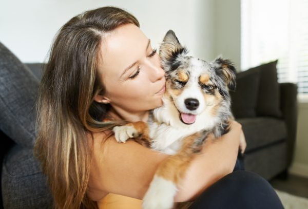 HotNewBreak Person of the Year Hires Plane to Find Her Stolen Dog, Offers $7K Reward