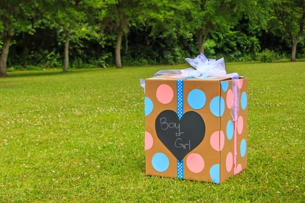Iowa Woman Killed by Explosion at Gender Reveal Party, Still Unlikely the End of These Terrible Parties