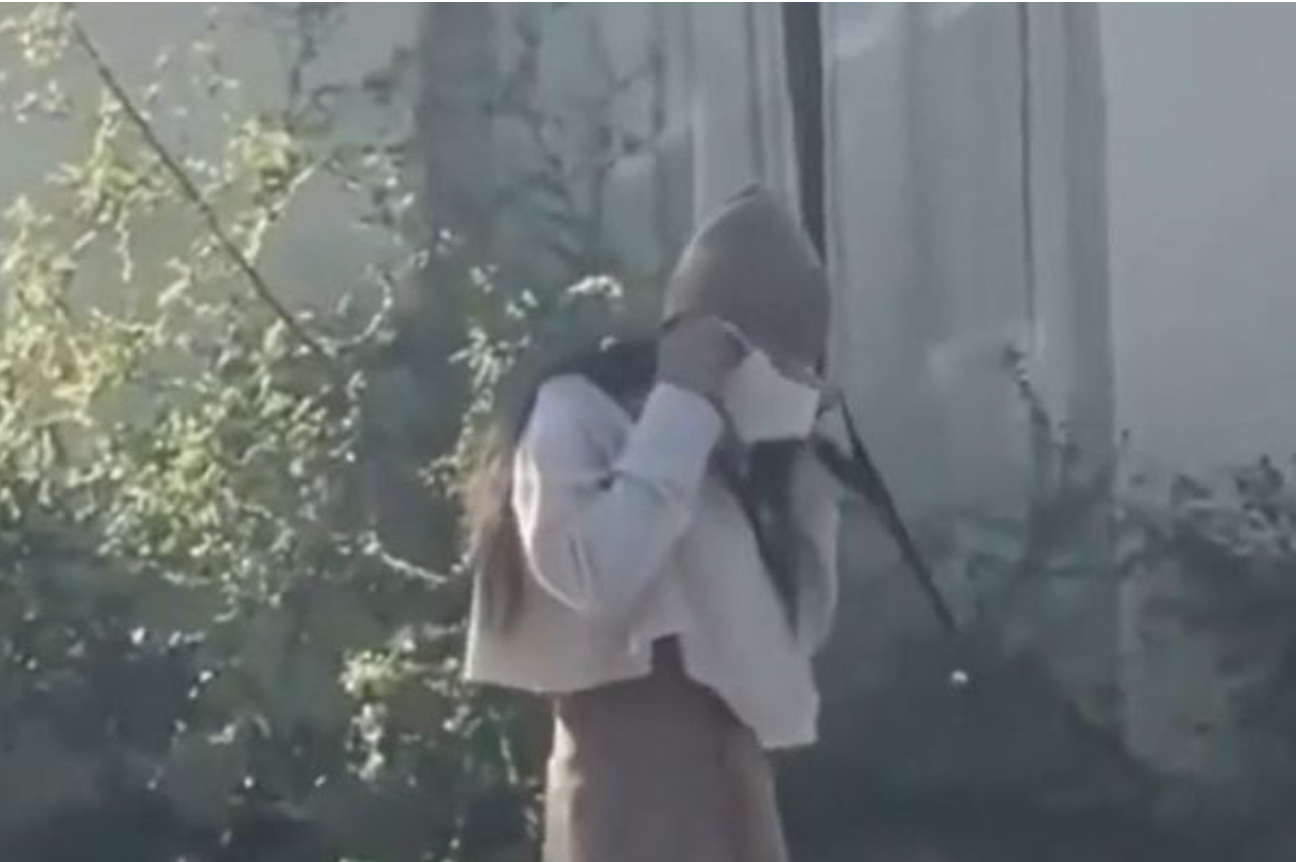 Quarantine Gold: Woman Using Face Mask to Pick Up Dog Poop Before Putting It Back on Is Still Our Favorite Pandemic Fail