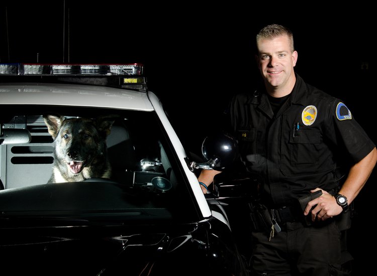 HotNewBreak Weird News: Dog Steals Cop Car, Eats Officer’s Beef Jerky